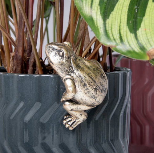Plant Pot Pals - Frog