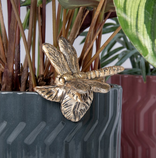 Plant Pot Pals - Dragonfly