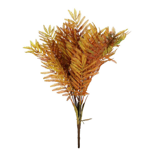 Essential Autumn Fern (58cm)