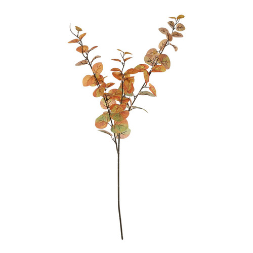 Essential Autumn Eucalyptus Stem - Orange/Green