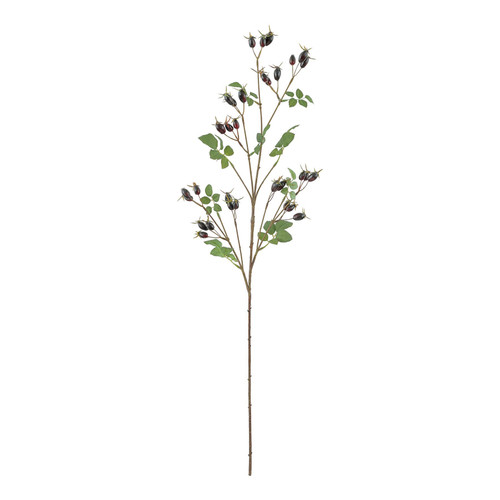 Dark Purple Rose Hip Spray (95cm)