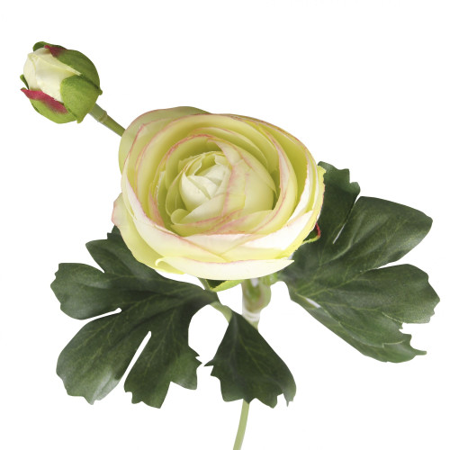 Ranunculus Cream Pink - Artificial Flowers Collection
