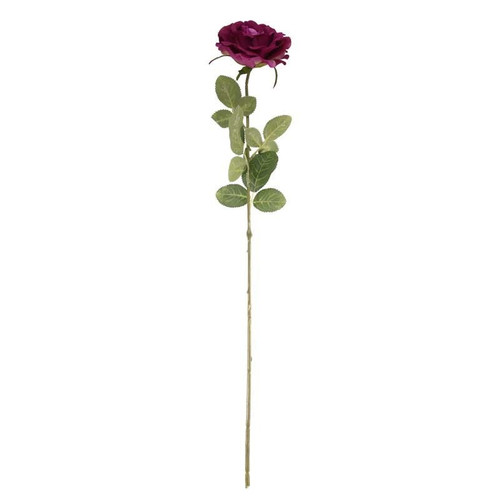Rose Stem - Arundel Mauve Open