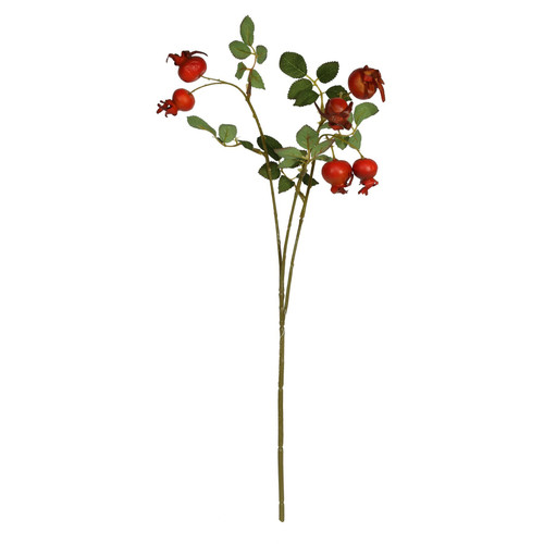 Rose Hip Stem - Balmoral