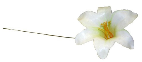 Flower Picks - Harissi Lily White