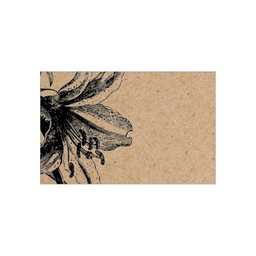 Flat Message Cards - Black Lily on Natural Kraft
