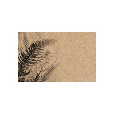 Flat Message Cards - Black Fern on Natural Kraft