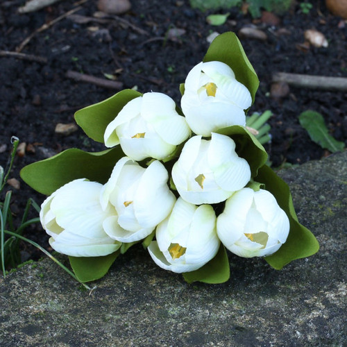 Tulip Bunch - White