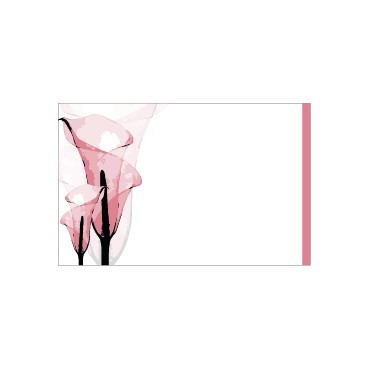 Pink Calla Lily Illustration (PK25)