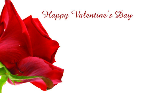 Valentine Happy Valentines Day Red Rose Card (x50)