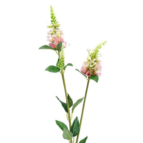 Pale Pink Physostegia Spray (63cm)
