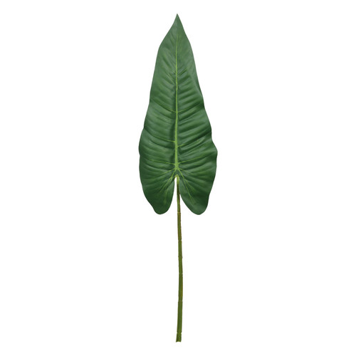 Philodendron Stem Green (109cm)