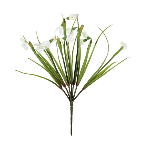 Snowdrop Bush (33cm)