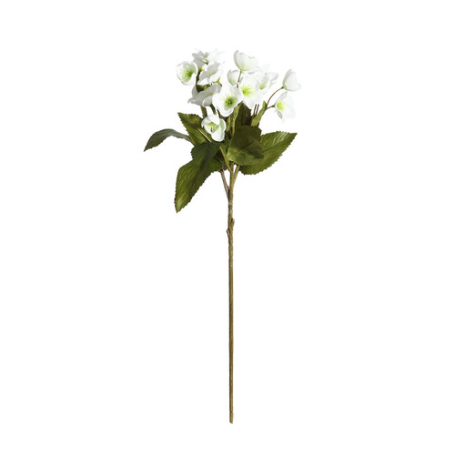 Botanica White Rose Bunch (57cm)