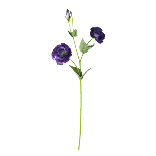 Essential Deep Purple Lisianthus (56cm)