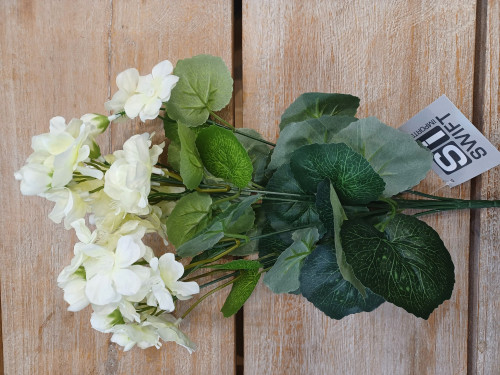 Cream Geranium Bush (30cm)