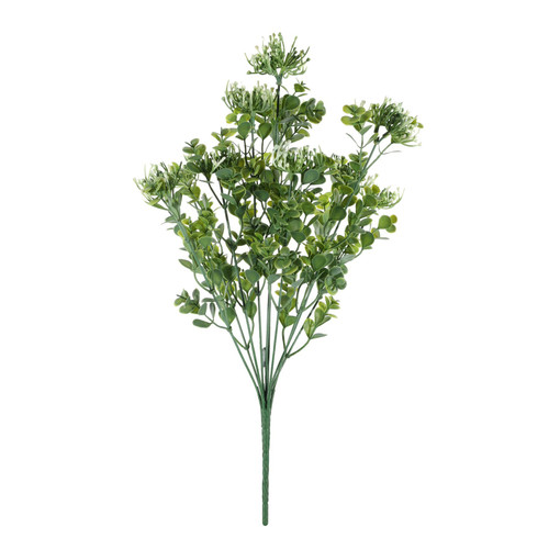 Essential White Sedum Bush 