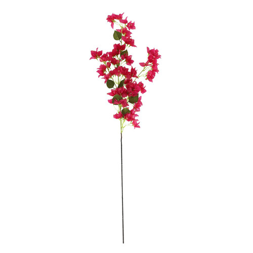 Essential Pink Bougainvillea Spray 