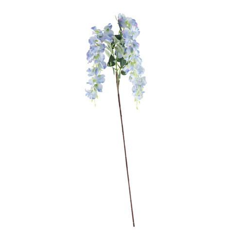 Essential Lavender Wisteria 