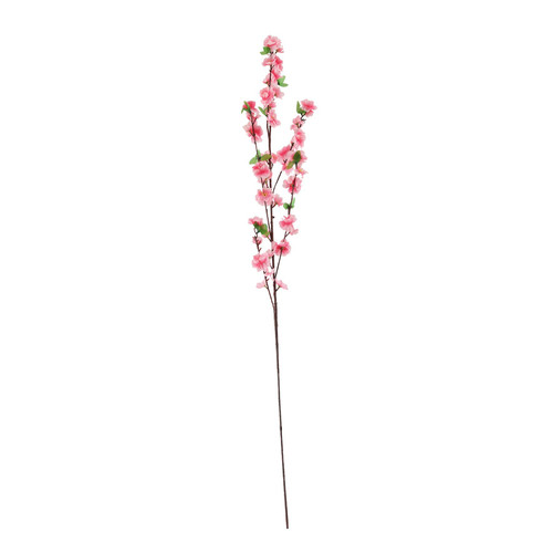 Essential Pink Blossom 