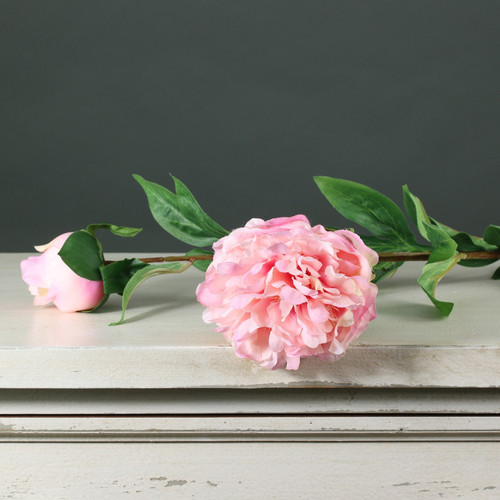 Tintagel Spray Peony Pink