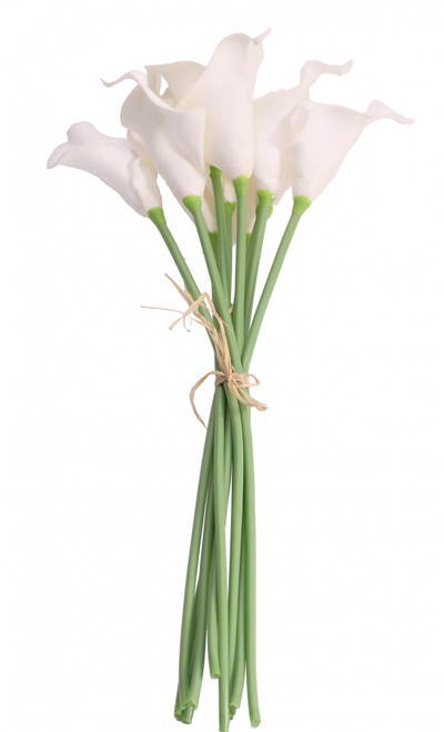 Ivory Calla Lily 