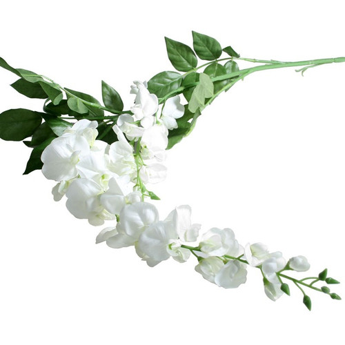 Garden Wisteria Cream 