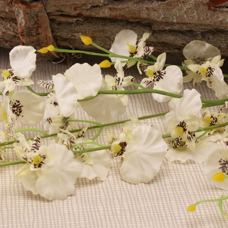 Dancing Orchid White 