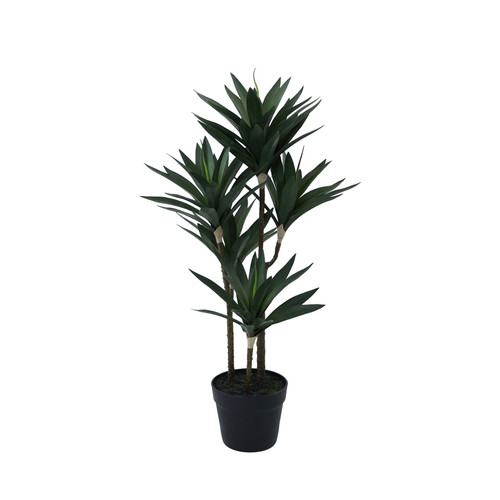 Green Botanica Yucca Tree (78cm)