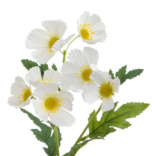 Cream Cosmos Spray x3 (42cm)