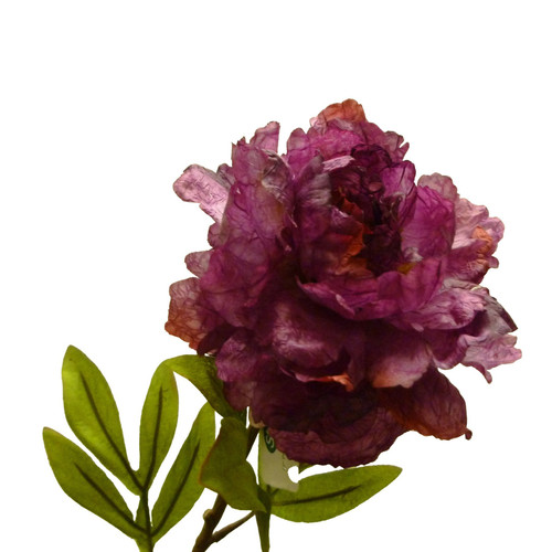 Fuchsia Peony (27")