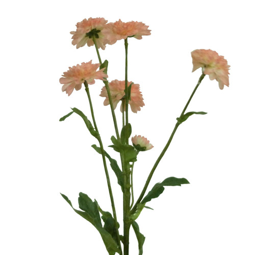 Chrysanthemum Pink Spray x5 Pink (25")