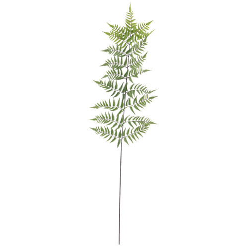 Botanica Tree Fern Leaf (178cm)