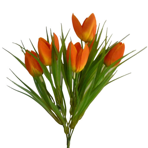Tulip Bush Orange (14")