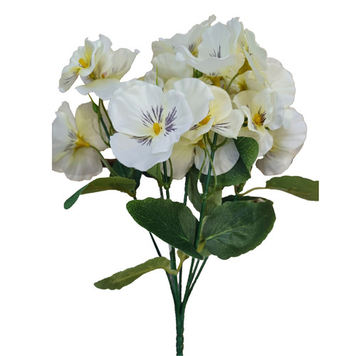 Pansy Cream Bush x7 (30cm)