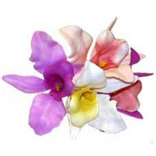 Assorted Orchid Pick (x100)