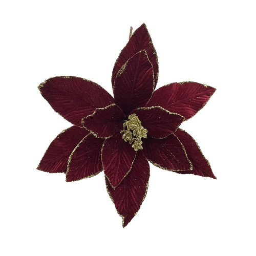 Poinsettia with Gold Glitter Edge Pick Maroon (30cm)