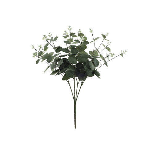 Grey/Green Eucalyptus Bush
