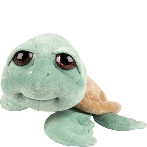 Suki - Large Caspian Turtle
