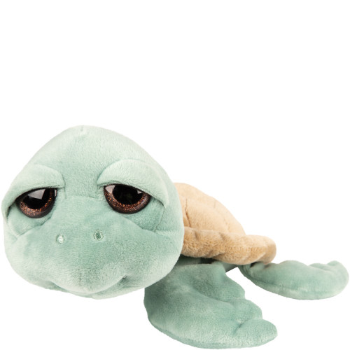Suki - Medium Caspian Turtle