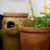 Bird Pot Stakes (Set of 3)