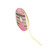 10mm Velvet Ribbon - Ivory (20m)