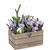 Home Sweet Home Wooden Crate Keepsake Box Planter - Natural