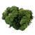 Moss - Reindeer Dark Green (500g)