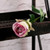 Rose - Buckingham Purple Lavender
