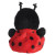 Soft Toy - Aurora Lil Spots Ladybird Palm Pal