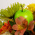 Apple Pick - Shiny Green