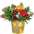 Plant Pot - Winter Forest Glow