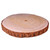 Wood Slice - Real (XL)