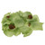 Rose Petals (Faux) - Lime Green